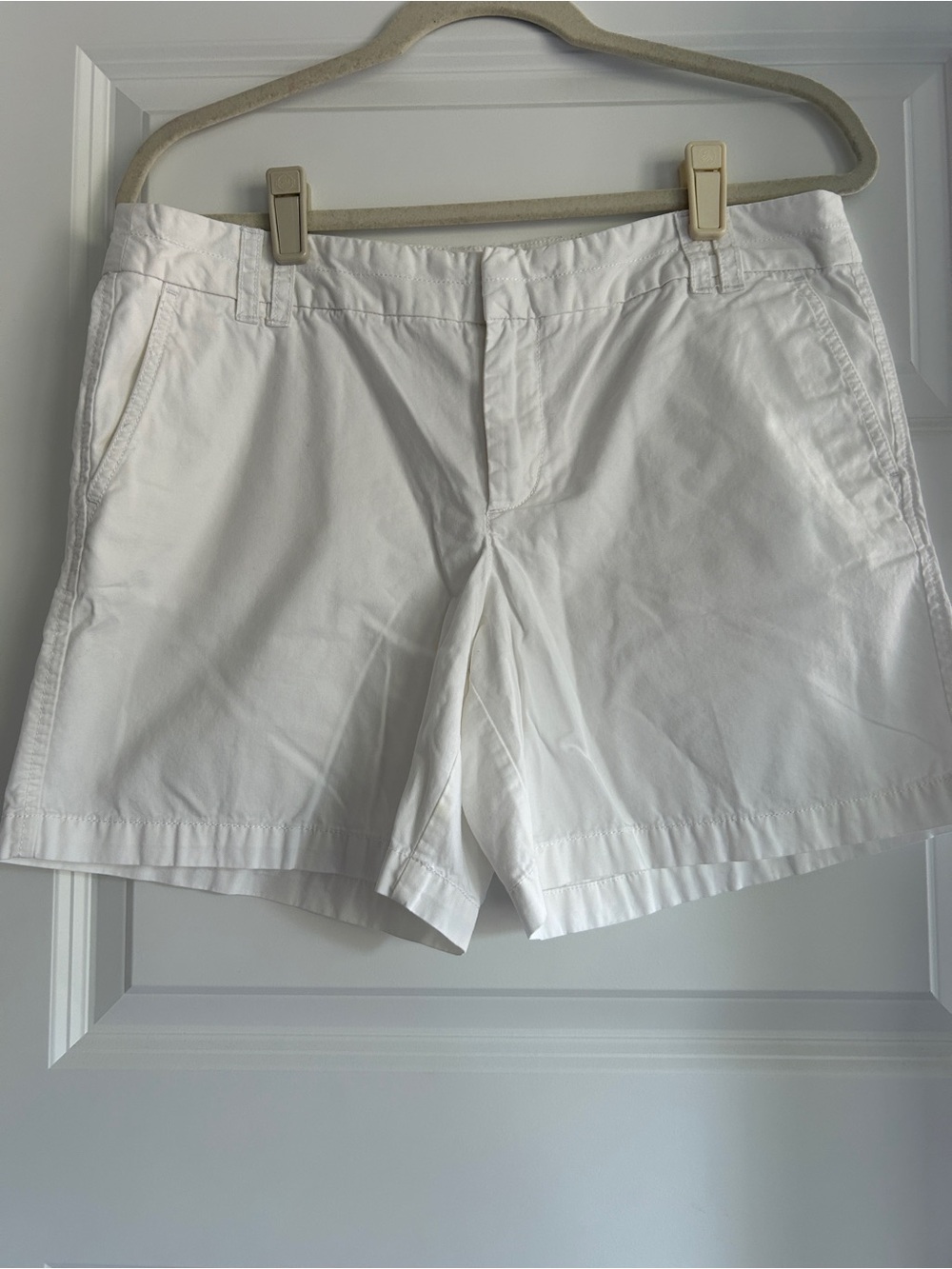 Loft Chino Shorts SZ 8